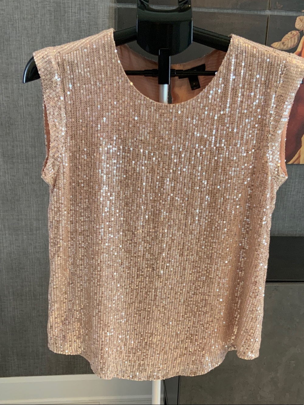 J. Crew Beige with silver Sequin Top 4